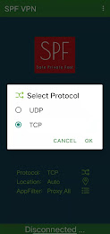 SPF VPN Screenshot 12