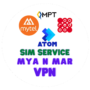 SSM VPN APK