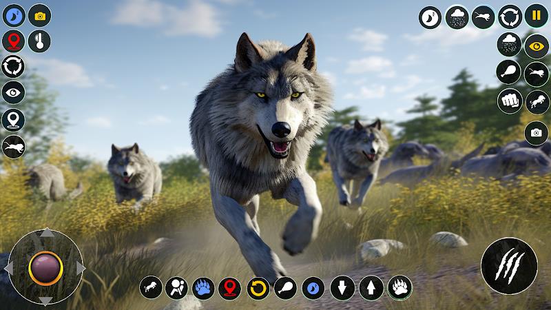 Wolf Simulator: Wild Wolf Game Screenshot 15