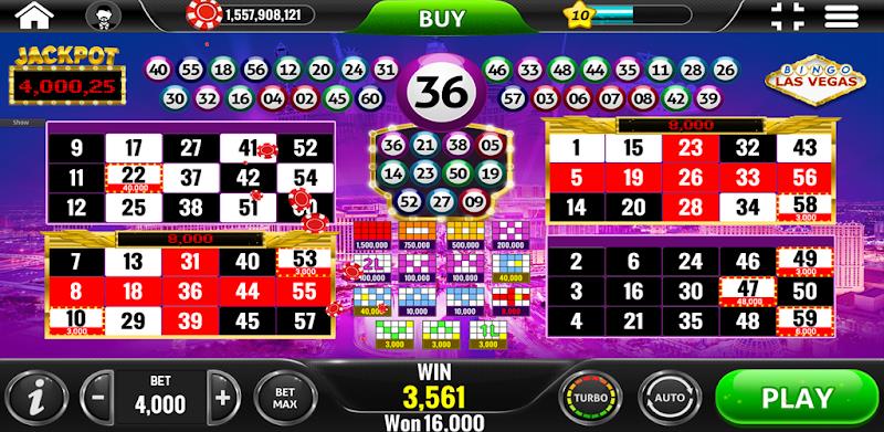 Amazonia Bingo - Social Casino Screenshot 5