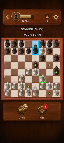 Chess Master: Board Game Screenshot 3