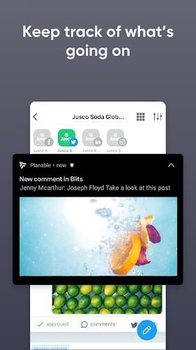 Planable Social Media Approval Screenshot 8