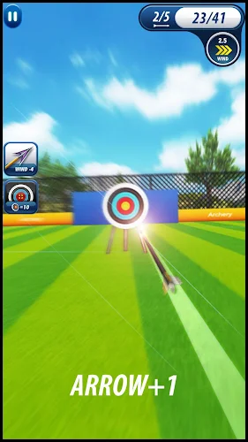 Archery Tournament Screenshot 6