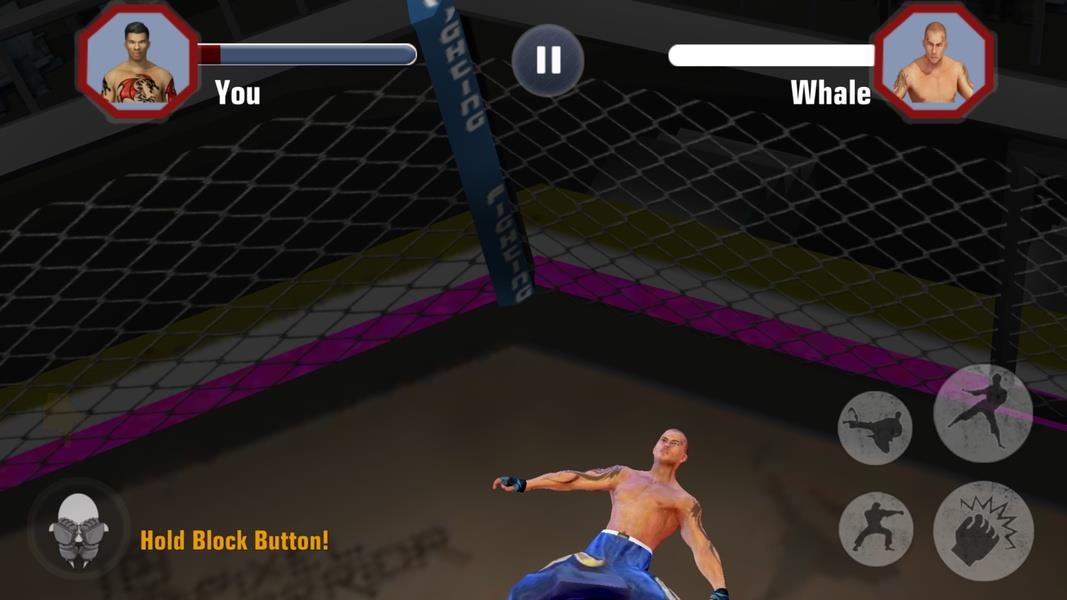 Fighting Manager 2019 Screenshot 6