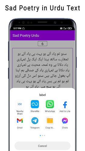 Sad Poetry Urdu Screenshot 3