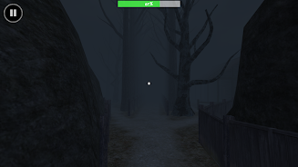 Evilnessa: The Cursed Place Screenshot 6