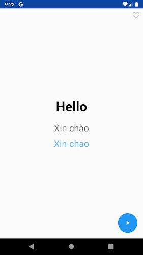 Learn Vietnamese Pro Screenshot 3