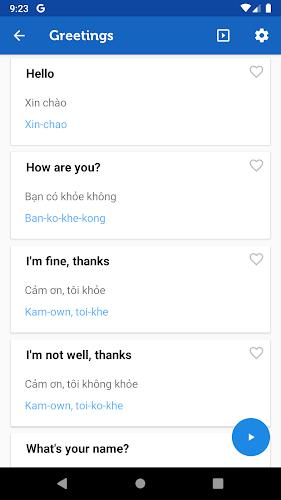 Learn Vietnamese Pro Screenshot 2