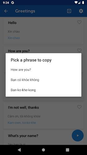 Learn Vietnamese Pro Screenshot 5
