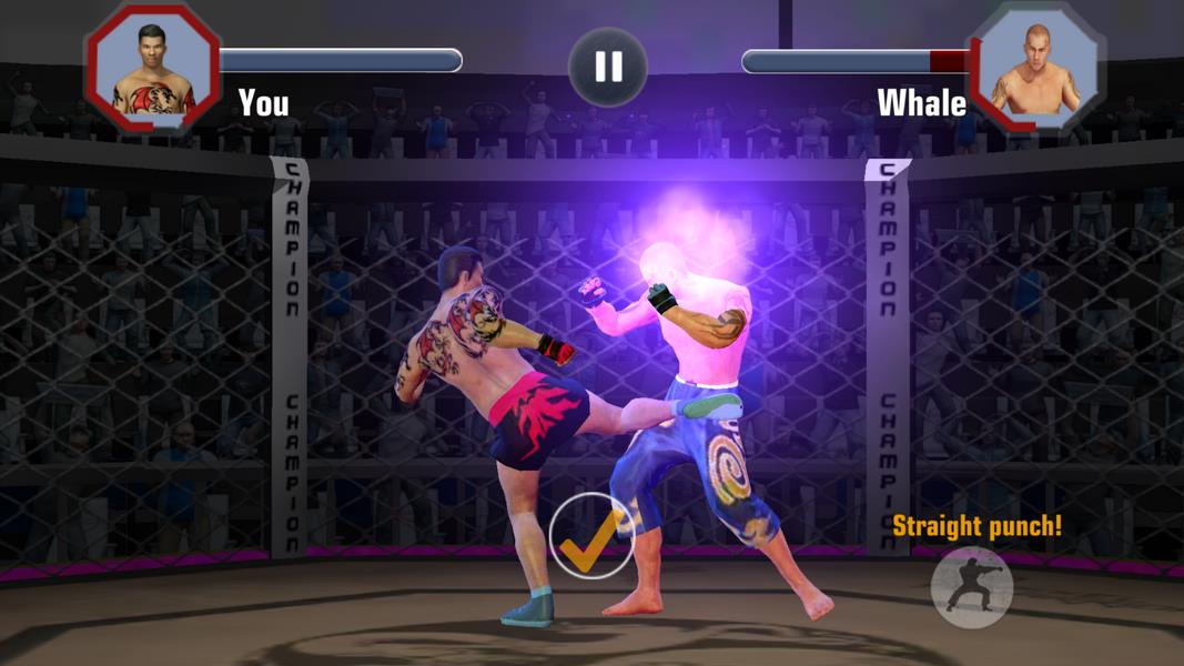 Fighting Manager 2019 Screenshot 3