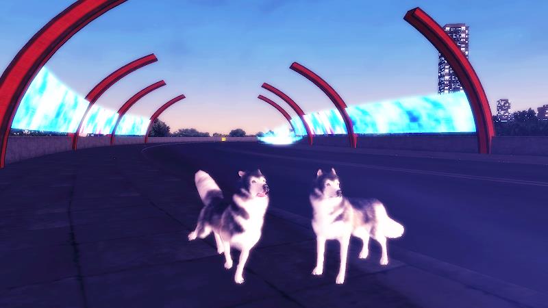 Husky Simulator Screenshot 2