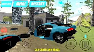 Car Crash And Roads Screenshot 1