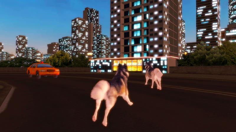 Husky Simulator Screenshot 11