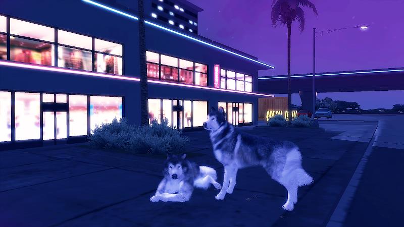 Husky Simulator Screenshot 18