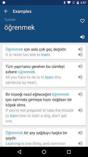 Turkish English Dictionary İng Screenshot 2