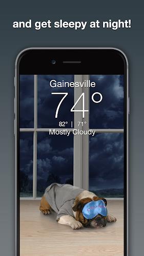 Weather Puppy - App & Widget Screenshot 3