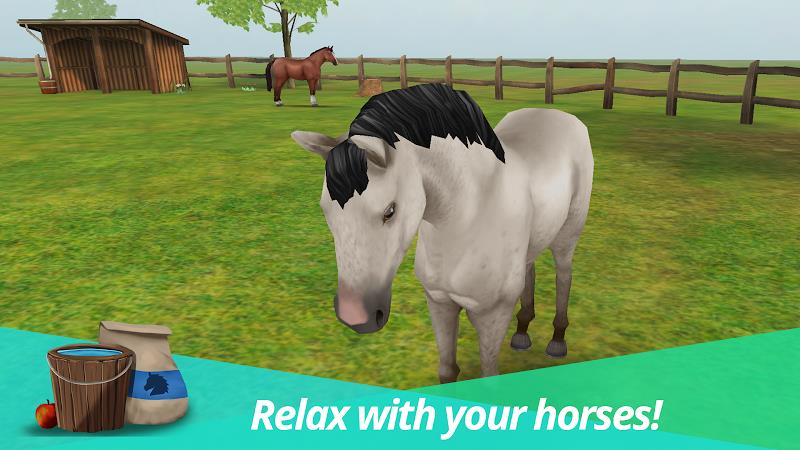 HorseWorld – My Riding Horse Screenshot 13