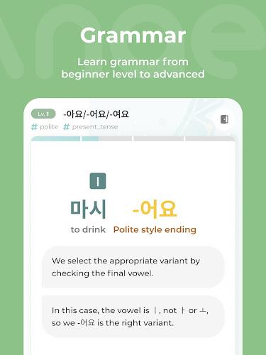 Mirinae - Learn Korean with AI Screenshot 14