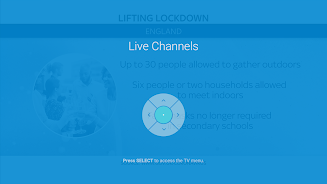 Live channels launcher Screenshot 5