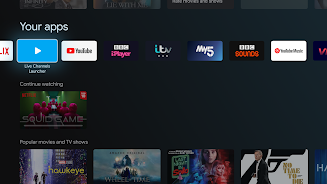 Live channels launcher Screenshot 3