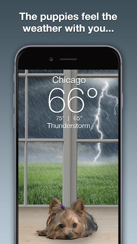 Weather Puppy - App & Widget Screenshot 2