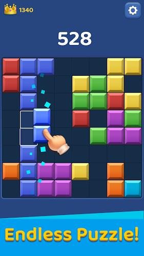 Block Master - Puzzle Game Screenshot 1