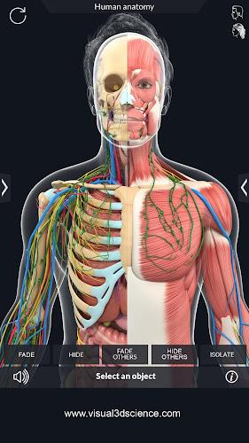 Human Anatomy Screenshot 5