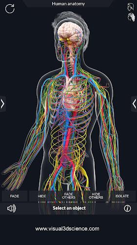 Human Anatomy Screenshot 8