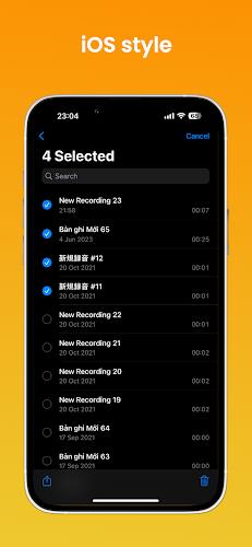 iVoice - iOS 17 Voice Memos Screenshot 19