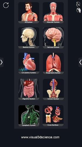 Human Anatomy Screenshot 1