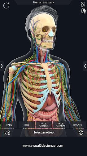 Human Anatomy Screenshot 6