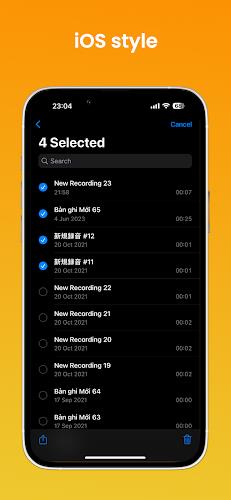 iVoice - iOS 17 Voice Memos Screenshot 11