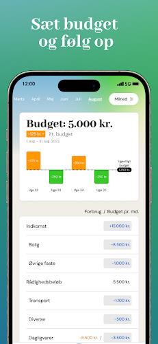 Optius.app - Automatisk budget Screenshot 4