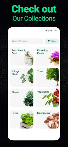 Plantum - Plant Identifier Screenshot 6