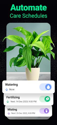 Plantum - Plant Identifier Screenshot 3