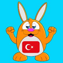 Learn Turkish Language APK