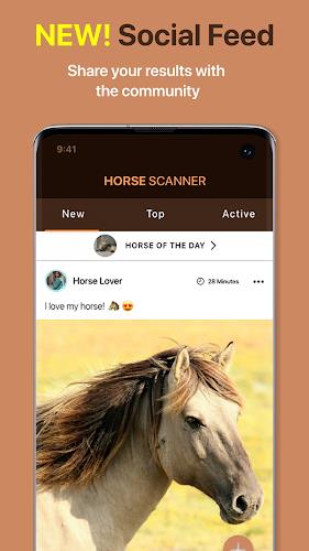 Horse Scanner Screenshot 4
