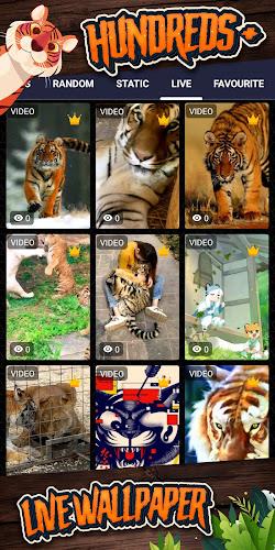tiger background Screenshot 3