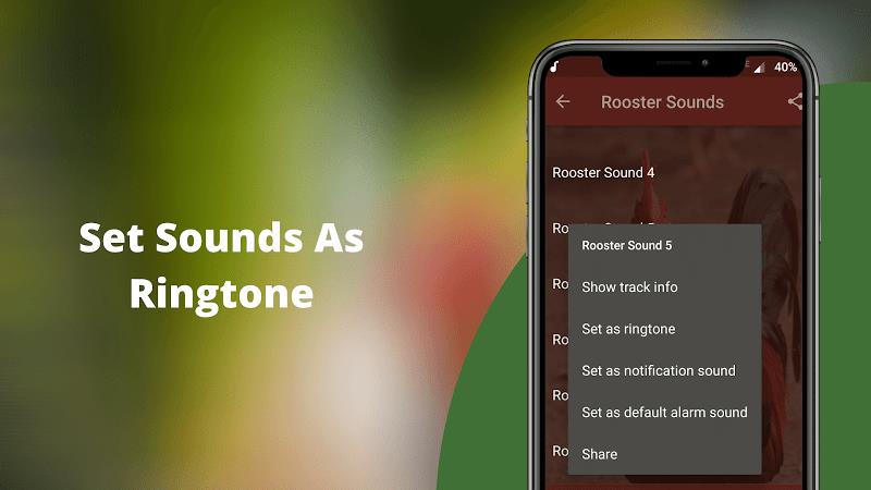 Rooster Sounds - Morning Alarm Screenshot 3