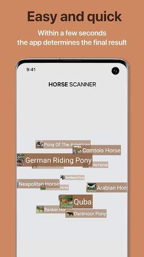 Horse Scanner Screenshot 2