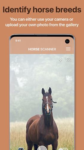 Horse Scanner Screenshot 1