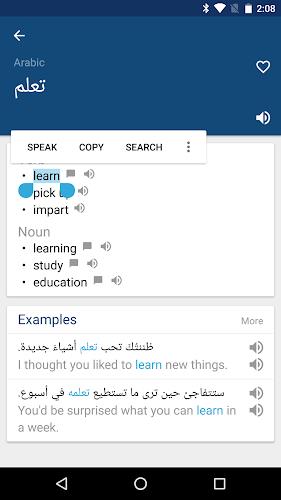 Arabic English Dictionary Screenshot 2