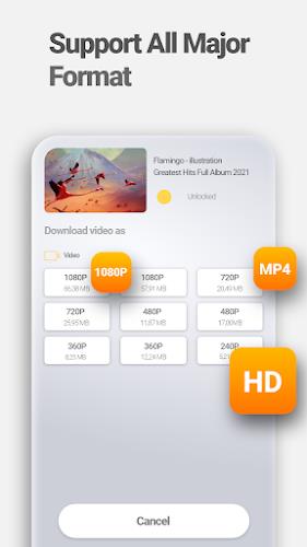 Download Video & Player Screenshot 2