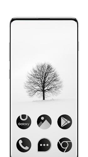 Black & White Theme Screenshot 1