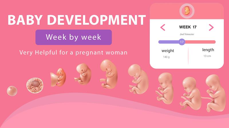 Pregnancy Weeks Tracker Screenshot 2