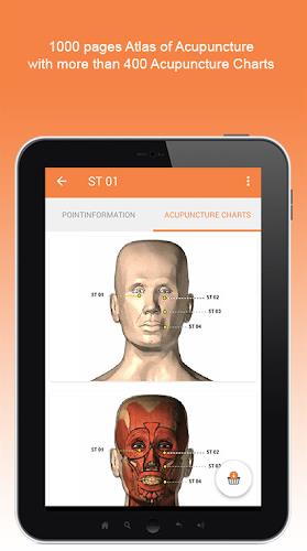 Shen-Acupuncture Screenshot 7