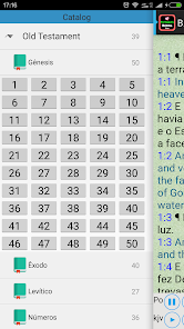 Portuguese Audio Bible Screenshot 2
