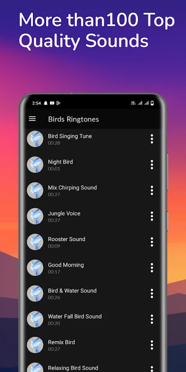 Birds Sounds & Birds Ringtones Screenshot 4