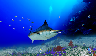 The Blue Marlin Screenshot 2