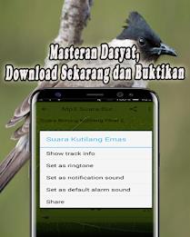 Suara Burung Kutilang Offline Screenshot 6